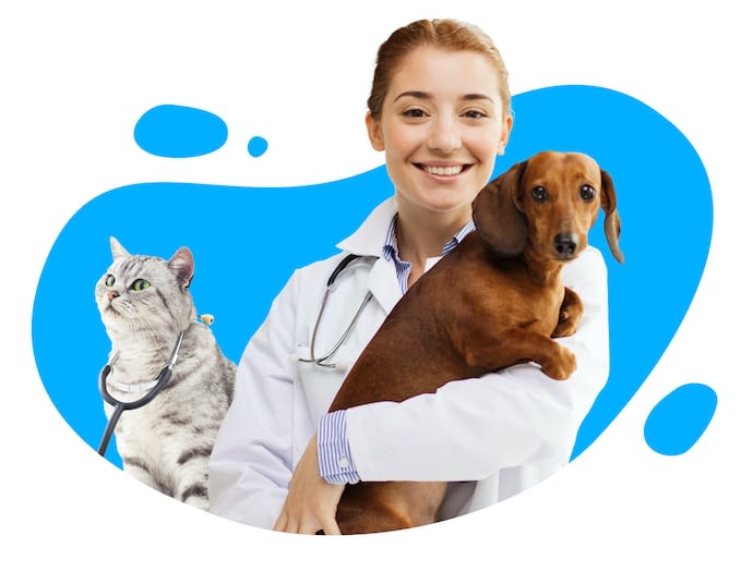 vet